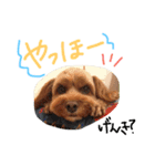 たいがのきもち（個別スタンプ：11）