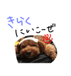 たいがのきもち（個別スタンプ：13）