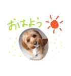 たいがのきもち（個別スタンプ：15）