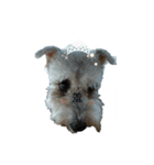 tweety's dog part 2（個別スタンプ：2）