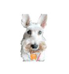 tweety's dog part 2（個別スタンプ：4）