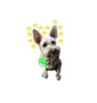 tweety's dog part 2（個別スタンプ：14）