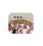 うちの猫 うみの写真スタンプ【韓国語版】2（個別スタンプ：17）