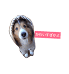大好きあくちん！（個別スタンプ：5）