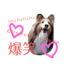 大好きあくちん！（個別スタンプ：7）