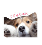 大好きあくちん！（個別スタンプ：8）