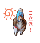 大好きあくちん！（個別スタンプ：14）