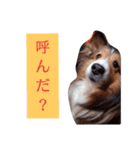 大好きあくちん！（個別スタンプ：15）