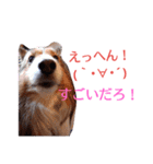 大好きあくちん！（個別スタンプ：16）