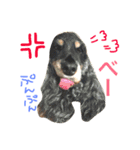 Englishcockerspaniel  happy days（個別スタンプ：15）