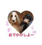 Englishcockerspaniel  happy days（個別スタンプ：29）