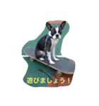 ふじぱ（個別スタンプ：4）