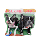 ふじぱ（個別スタンプ：6）
