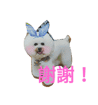 DiDi family everyday 1（個別スタンプ：5）