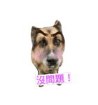 DiDi family everyday 1（個別スタンプ：7）