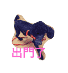 DiDi family everyday 1（個別スタンプ：13）
