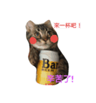 DiDi  family 1（個別スタンプ：6）