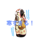 ゆめちゃんのスタンプ！（個別スタンプ：8）