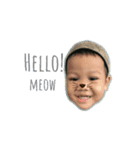 Zamee (hfn)（個別スタンプ：4）