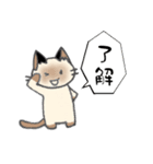 シャム猫ルーちゃん（個別スタンプ：2）