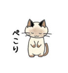 シャム猫ルーちゃん（個別スタンプ：6）