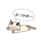 シャム猫ルーちゃん（個別スタンプ：7）