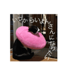 靴下ねこのチロル（個別スタンプ：36）