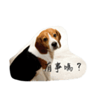 Wu ni（個別スタンプ：7）