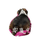 Wu ni（個別スタンプ：10）