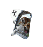 Wu ni（個別スタンプ：13）