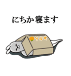 にちかが使う面白名前スタンプ（個別スタンプ：29）