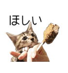 こねこのぺろすけ（個別スタンプ：18）