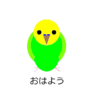 インコの絵（個別スタンプ：1）