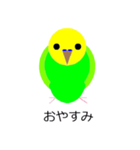 インコの絵（個別スタンプ：2）