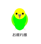 インコの絵（個別スタンプ：3）