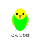 インコの絵（個別スタンプ：5）