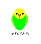 インコの絵（個別スタンプ：6）