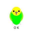 インコの絵（個別スタンプ：7）