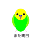 インコの絵（個別スタンプ：8）