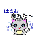 はるお ねこ（個別スタンプ：11）