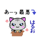 はるお ねこ（個別スタンプ：14）