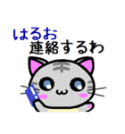 はるお ねこ（個別スタンプ：19）