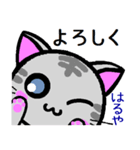 はるや ねこ（個別スタンプ：40）