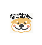 しゃべるしば犬くん（個別スタンプ：3）