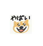 しゃべるしば犬くん（個別スタンプ：9）