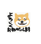 しゃべるしば犬くん（個別スタンプ：12）