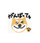 しゃべるしば犬くん（個別スタンプ：23）