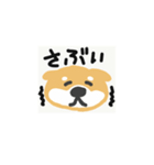 しゃべるしば犬くん（個別スタンプ：36）