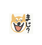 しゃべるしば犬くん（個別スタンプ：37）