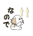 【大きめ文字】シーズー犬の春（個別スタンプ：39）